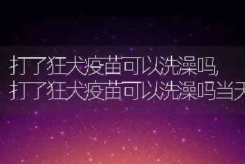 人为什么会打喷嚏，人为什么会打喷嚏物理解释