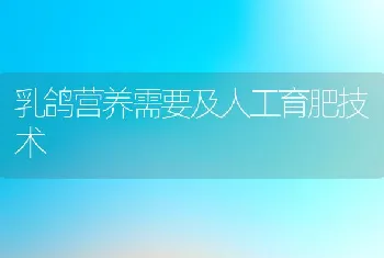 乳鸽营养需要及人工育肥技术