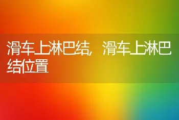 滑车上淋巴结，滑车上淋巴结位置