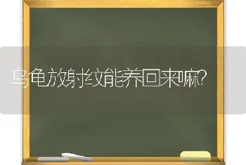 乌龟放射纹能养回来嘛？