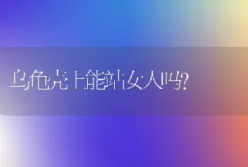 乌龟壳上能站女人吗？