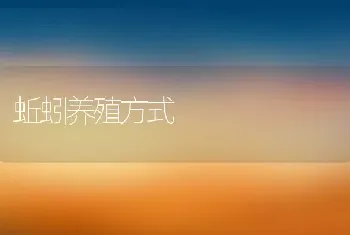 蚯蚓养殖方式