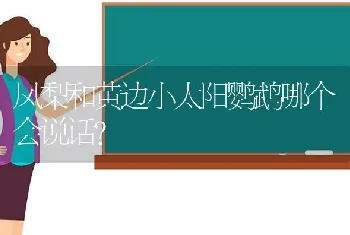 凤梨和黄边小太阳鹦鹉哪个会说话？