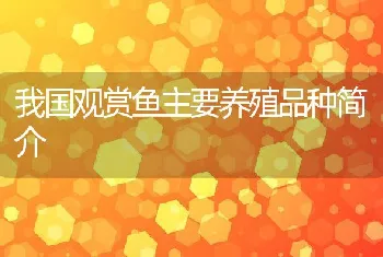 饲养乌龟注意的要点