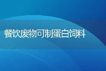 青绿饲料缺乏牛饲料中添加尿素