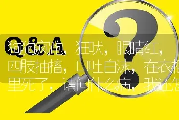 狗狗疯跑，狂吠，眼睛红，四肢抽搐，口吐白沫，在衣柜里死了，请问什么病，我还怎么处理衣服？