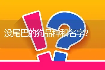 没尾巴的狗品种和名字？