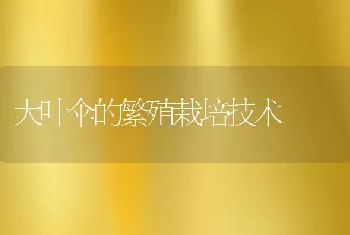 南美白对虾选苗、放苗要点