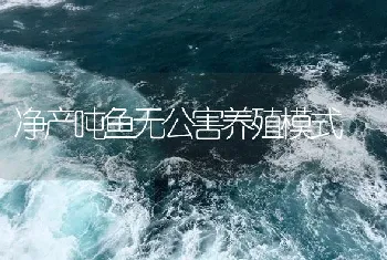 净产吨鱼无公害养殖模式