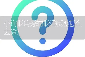 小狗眼角旁的眼泪痕迹怎么去除？