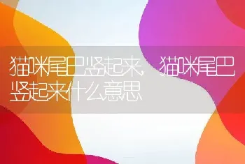 吃什么对肠胃好，吃什么对肠胃好又助消化清肠排毒