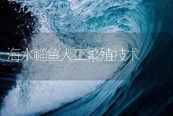 海水鲻鱼人工繁殖技术