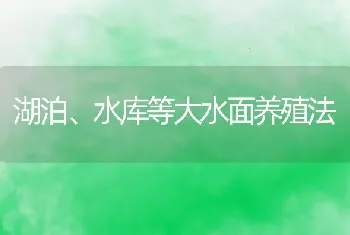 湖泊、水库等大水面养殖法