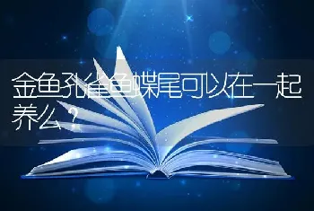 金鱼孔雀鱼蝶尾可以在一起养么？