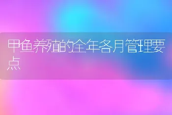 甲鱼养殖的全年各月管理要点