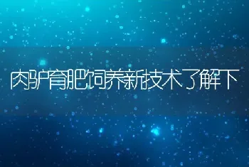 肉驴育肥饲养新技术了解下