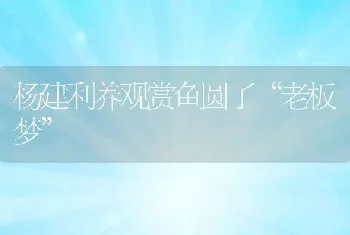 杨建利养观赏鱼圆了“老板梦”