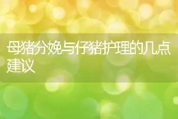 网箱养鱼的日常管理