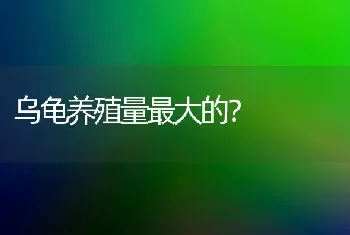 乌龟养殖量最大的？