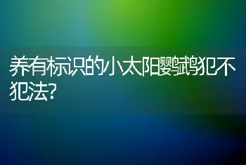 养有标识的小太阳鹦鹉犯不犯法？