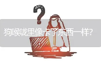 狗喉咙里像卡了东西一样？