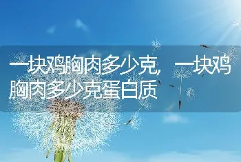 一块鸡胸肉多少克，一块鸡胸肉多少克蛋白质