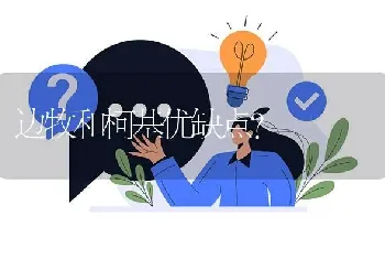 边牧和柯基优缺点？