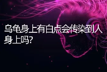 2厘米的巴西龟养的活吗？