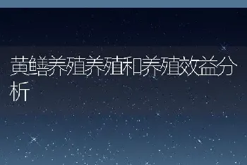 黄鳝养殖养殖和养殖效益分析