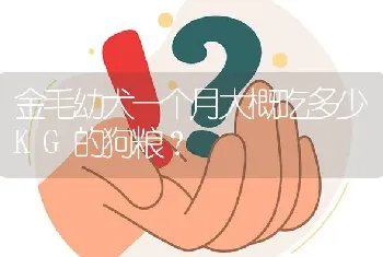 金毛幼犬一个月大概吃多少KG的狗粮？