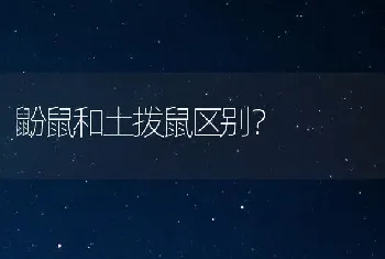 两个多月的猫咪托运容易死吗？