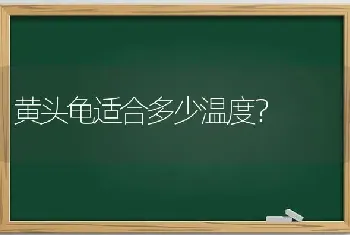 柴犬和萨摩的区别是什么？柴犬有什么特点？