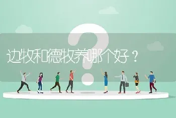 边牧和德牧养哪个好？