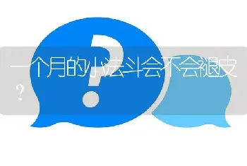 一个月的小法斗会不会褪皮？