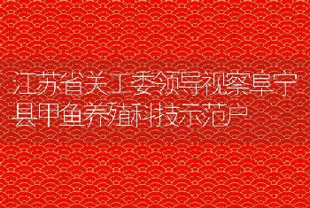 江苏省关工委领导视察阜宁县甲鱼养殖科技示范户