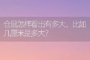 德牧大还是拉布拉多大？