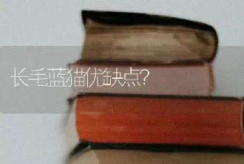 长毛蓝猫优缺点？