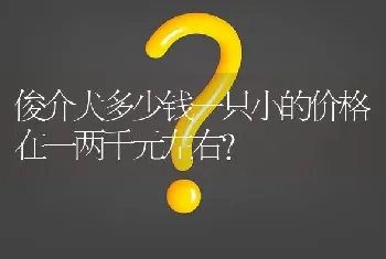 俊介犬多少钱一只小的价格在一两千元左右？