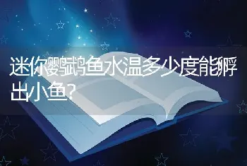 迷你鹦鹉鱼水温多少度能孵出小鱼？