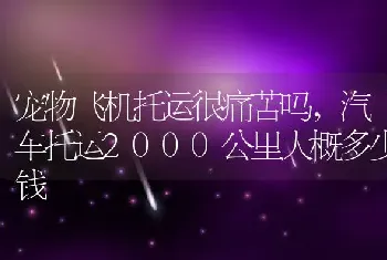 宠物飞机托运很痛苦吗，汽车托运2000公里大概多少钱