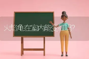 火焰龟在室内能变红吗？