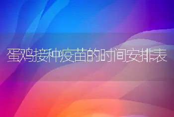 蛋鸡接种疫苗的时间安排表