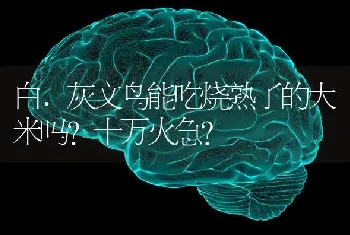 白.灰文鸟能吃烧熟了的大米吗?十万火急？