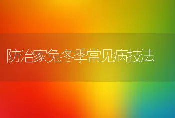 防治家兔冬季常见病技法