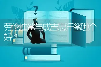 劳伦迪鲨与成吉思汗鲨哪个好？