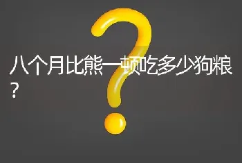 萨摩耶(狗)要死的时候的表现？