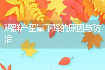 鸡群产蛋量下降的原因与防治