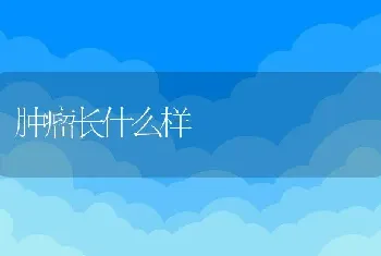 阿莫西林治什么，阿莫西林治什么症状