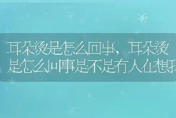 耳朵烫是怎么回事，耳朵烫是怎么回事是不是有人在想我