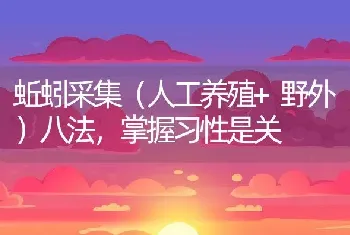 蚯蚓采集（人工养殖+野外）八法，掌握习性是关